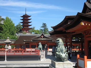 IMG_3976.jpg
