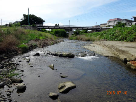 川口川.jpg