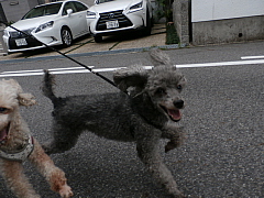 conv0535.JPG