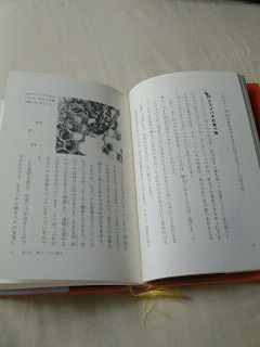 NEC_0157.JPG