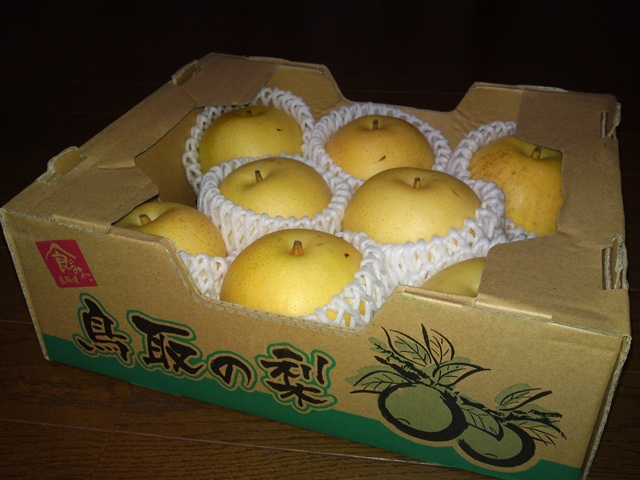 梨　最高の好物　SN3O20120928_0016.jpg