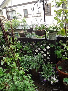 DSC03910.jpg