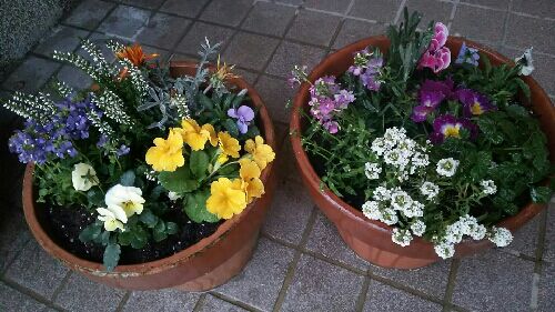 rblog-20160110181412-02.jpg