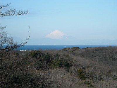 IMG_0001_185.jpg