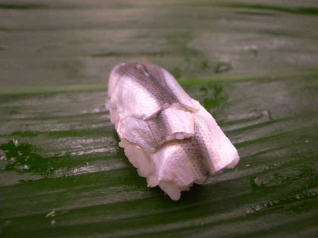 RIMG15208.JPG