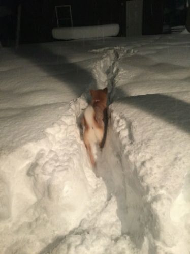 rblog-20180127184517-01.jpg
