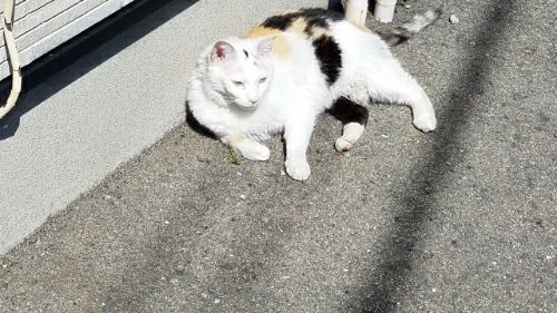rblog-20180520230612-08.jpg
