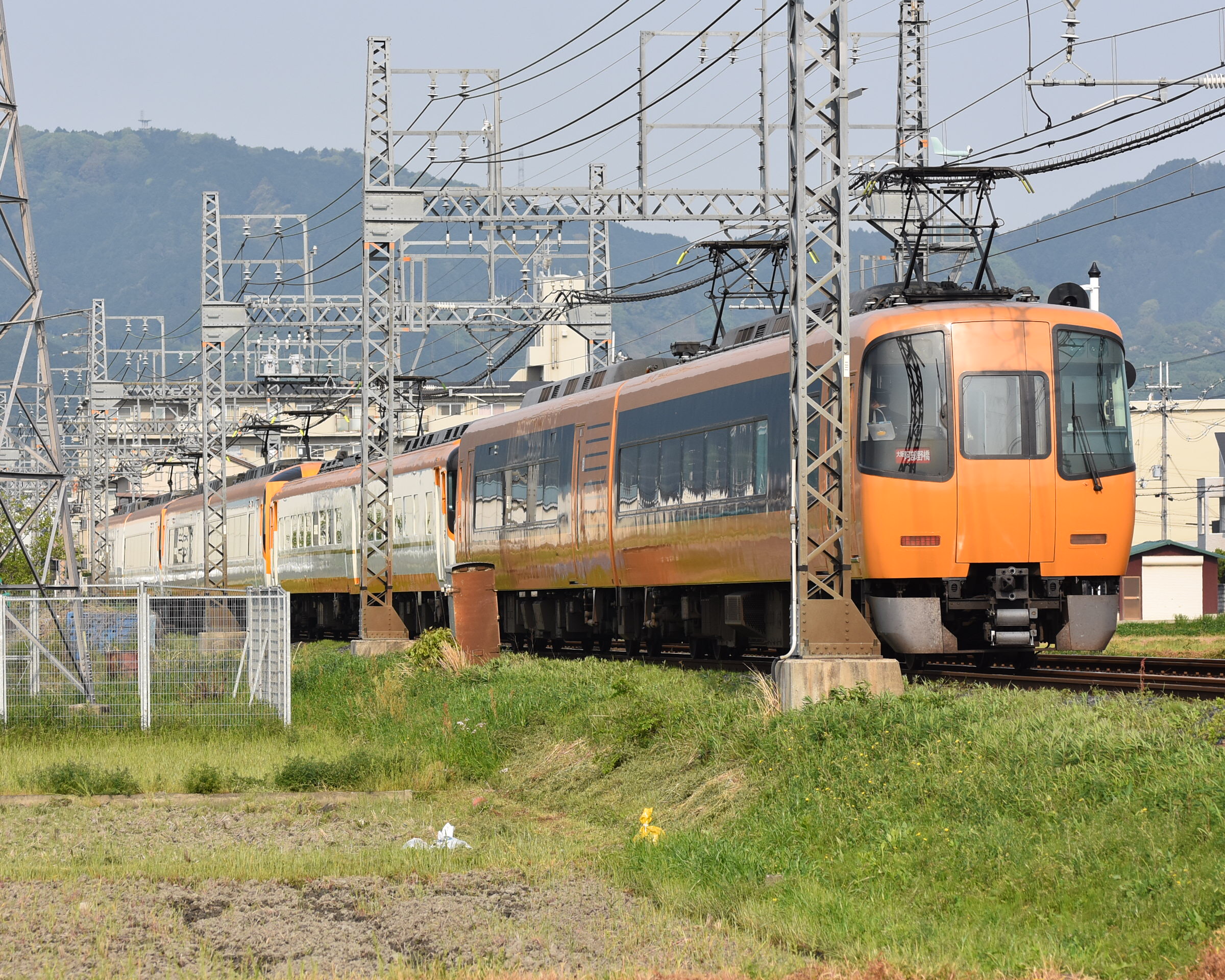 DSC_4290.JPG