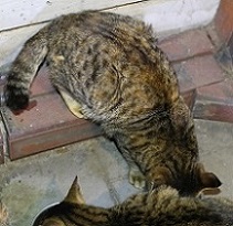5DA_9567-29.jpg