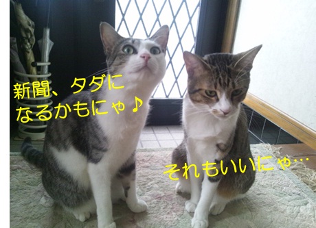 20120908_3.jpg