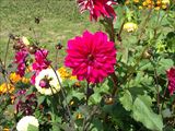 IMG_0070_R.JPG