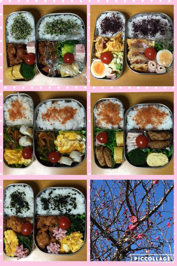 rblog-20160128060622-04.jpg