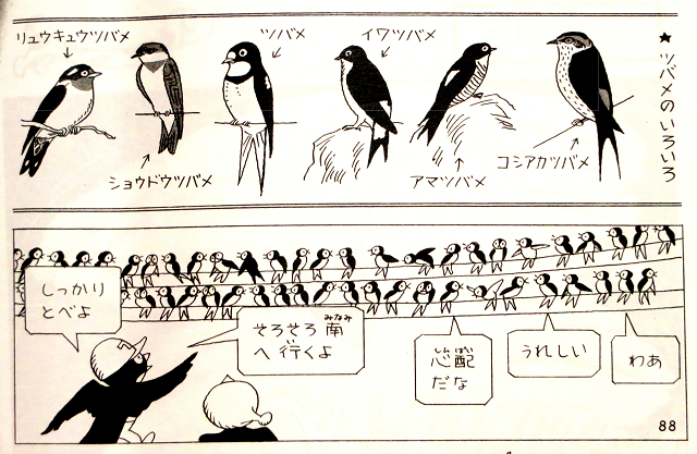 秋玲二さんの「勉強まんが」①「ツバメが来た」 | 星とカワセミ好きのブログ - 楽天ブログ