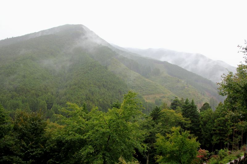 洞川裏山_004.jpg