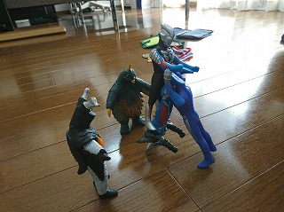 DSC_0308.jpg
