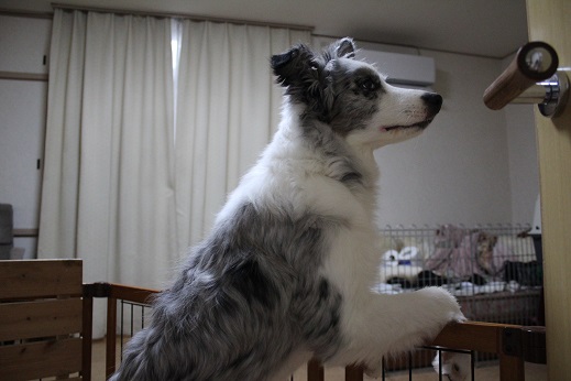 タッチ