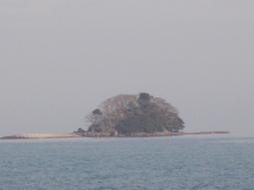 DSCN5596.jpg