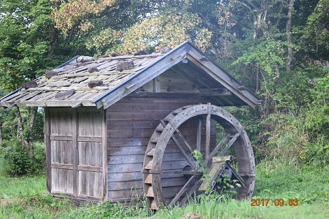 DSC_0381.jpg