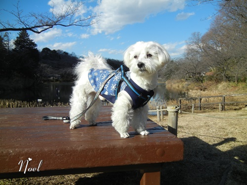 三ツ池公園にて