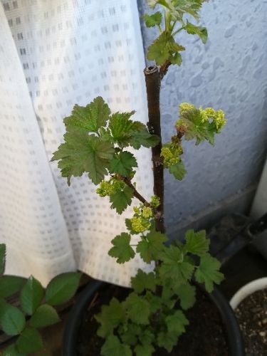 rblog-20180330095200-05.jpg