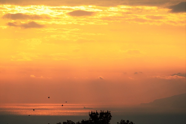 パルテール窓から