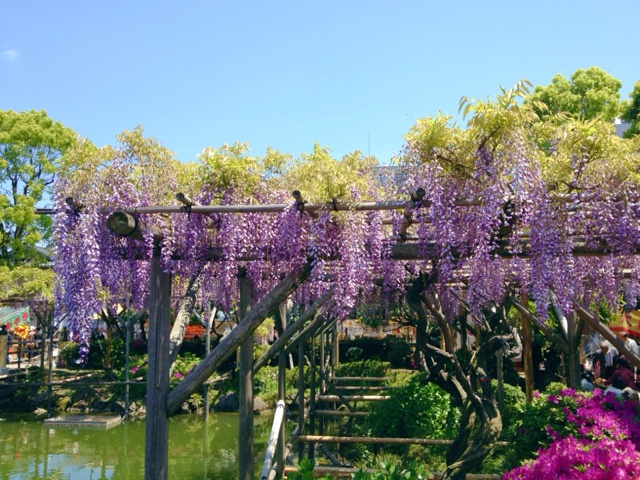 rblog-20130427150102-01.jpg
