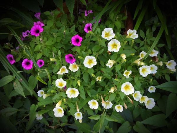 rblog-20160710211450-02.jpg