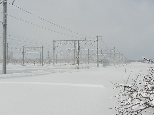 DSCN9814.jpg