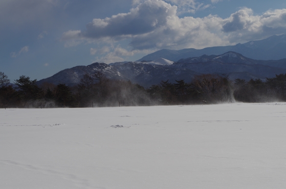 IMGP0940.JPG