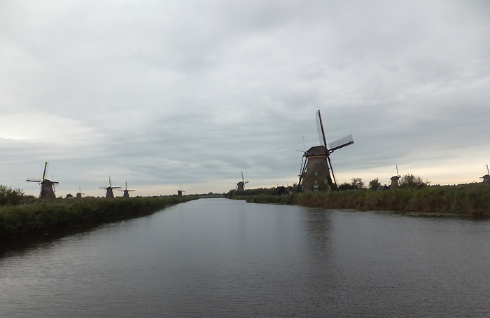 ｷﾝﾃﾞﾙﾀﾞｲｸ