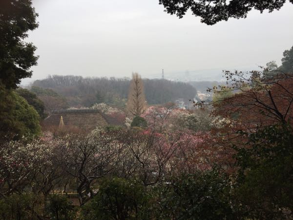 rblog-20190228175047-03.jpg