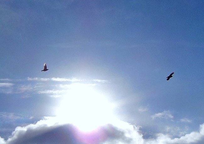 空
