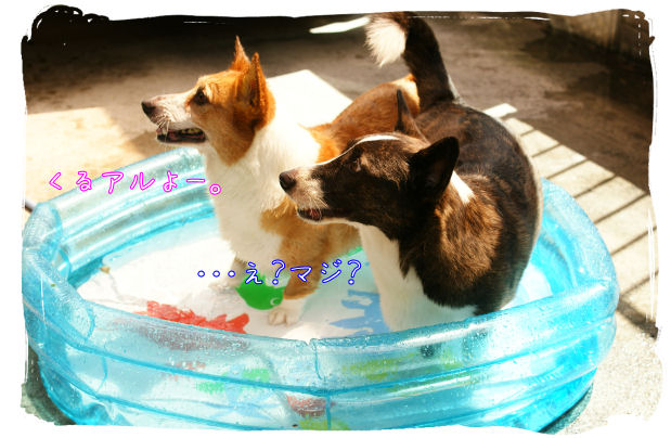 水遊び-1.JPG