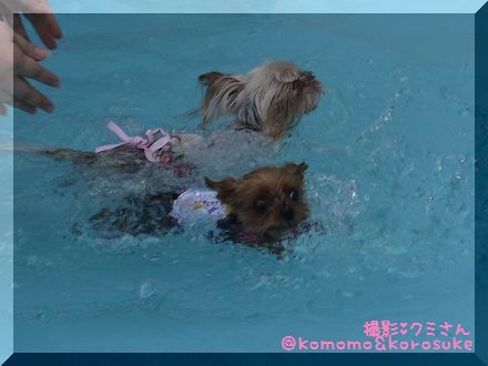 kumi1.JPG