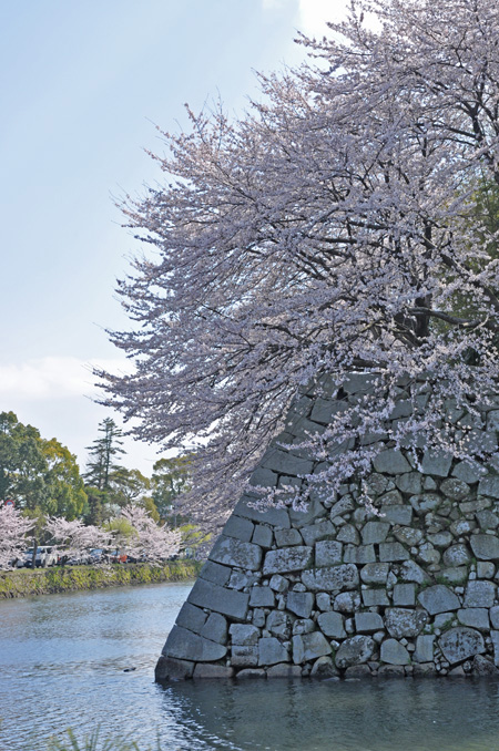 城2