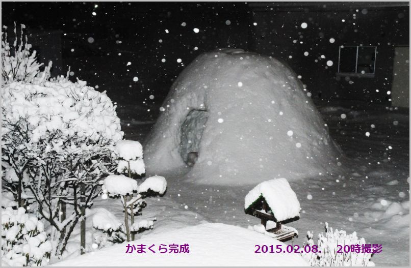 2015-02-08 夜の雪 012 (800x521).jpg