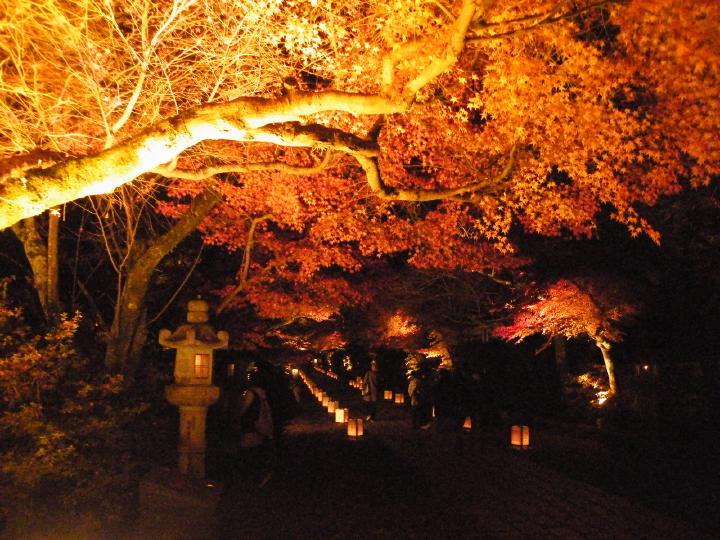 しが湖東d31石山寺.JPG