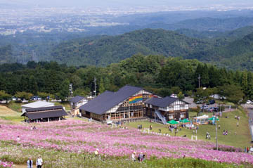 20131006-_DSC1970.JPG