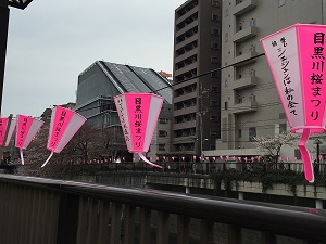 IMG_1602.jpg