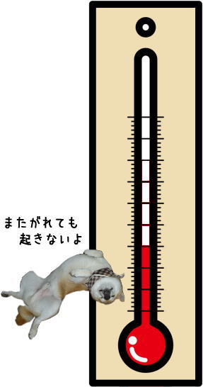 温度計1.jpg
