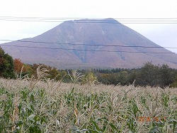 DSCN8415.jpg