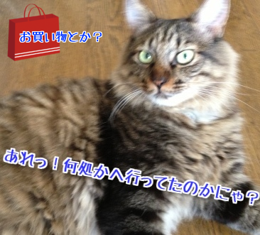 5ob2rMa8oQCj6vV1409779060_1409779444.png