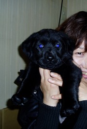 2012.03.08ロブ君366.jpg