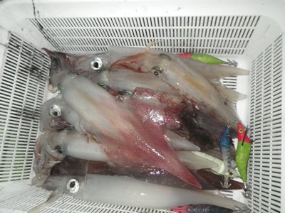 IMGP5860.JPG