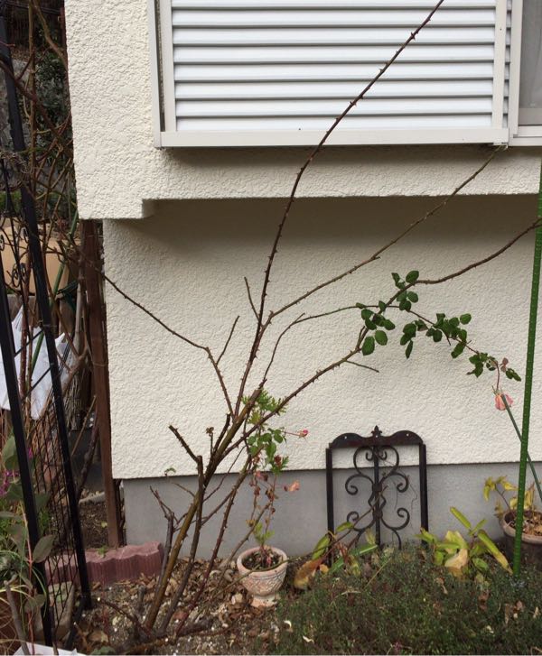 rblog-20170103213734-06.jpg