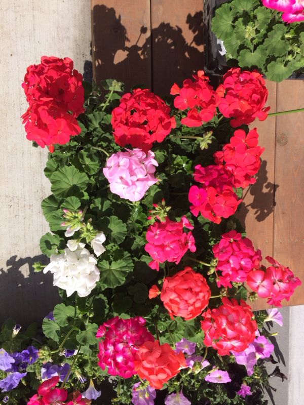 rblog-20140316145241-01.jpg