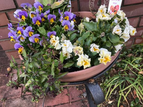rblog-20170223222238-07.jpg