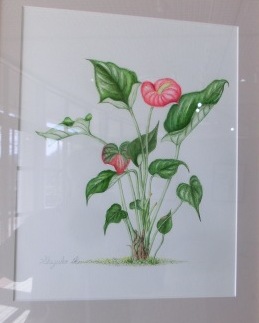 アンスリューム