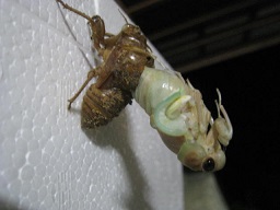 IMG_7500 縮小 - コピー.jpg