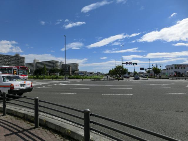 CIMG5679.jpg